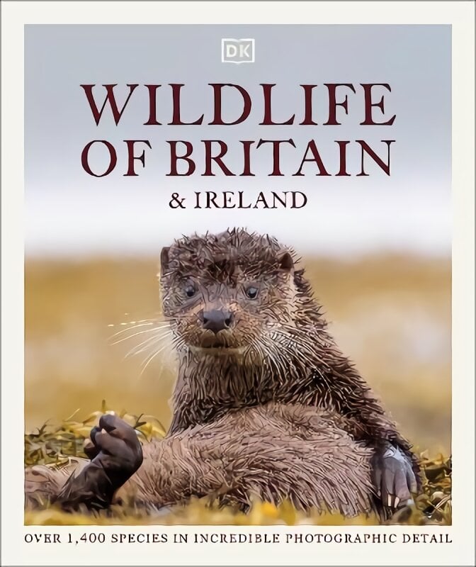 Wildlife of Britain and Ireland: Over 1,400 Species in Incredible Photographic Detail kaina ir informacija | Enciklopedijos ir žinynai | pigu.lt