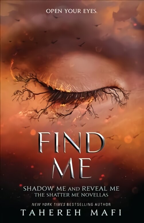 Find Me kaina ir informacija | Knygos paaugliams ir jaunimui | pigu.lt