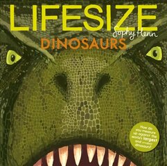 Lifesize Dinosaurs цена и информация | Книги для подростков  | pigu.lt