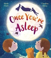 Once You're Asleep цена и информация | Книги для малышей | pigu.lt