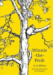 Winnie-the-Pooh цена и информация | Книги для подростков  | pigu.lt