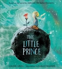 Little Prince цена и информация | Книги для самых маленьких | pigu.lt