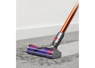 Dyson V10 Absolute kaina ir informacija | DYSON Buitinė technika ir elektronika | pigu.lt