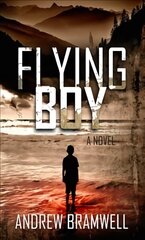 Flying Boy цена и информация | Книги для подростков и молодежи | pigu.lt