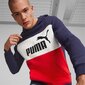 Megztinis vyrams Puma kaina ir informacija | Megztiniai vyrams | pigu.lt