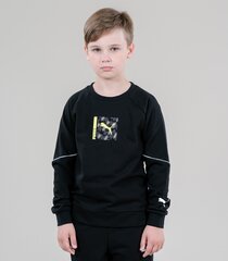 Детская толстовка Puma Active Sports 670074*01 4065449875998, черная  цена и информация | Свитеры, жилетки, пиджаки для мальчиков | pigu.lt