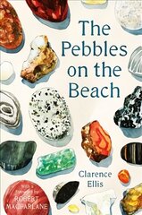 Pebbles on the Beach: A Spotter's Guide Main kaina ir informacija | Knygos apie sveiką gyvenseną ir mitybą | pigu.lt