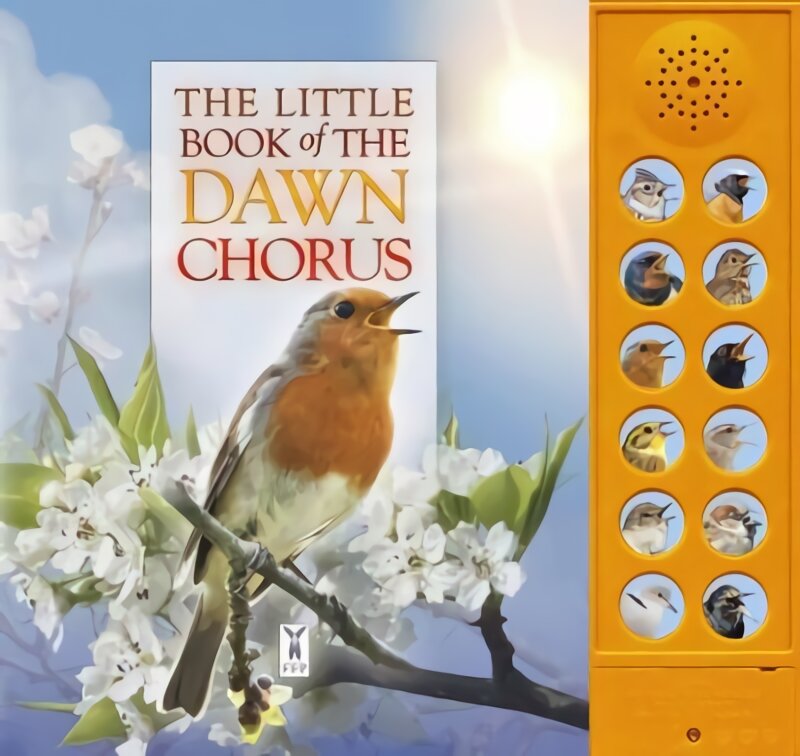 Little Book of the Dawn Chorus цена и информация | Knygos paaugliams ir jaunimui | pigu.lt