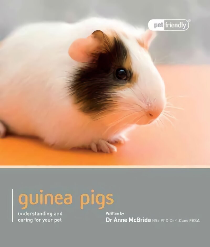 Guinea Pig - Pet Friendly: Understanding and Caring for Your Pet kaina ir informacija | Enciklopedijos ir žinynai | pigu.lt