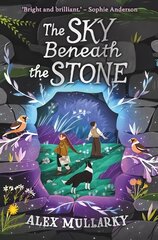 Sky Beneath the Stone цена и информация | Книги для подростков  | pigu.lt