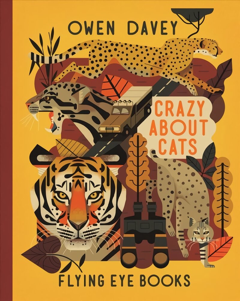 Crazy About Cats kaina ir informacija | Knygos paaugliams ir jaunimui | pigu.lt