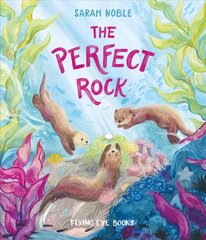 The Perfect Rock цена и информация | Книги для самых маленьких | pigu.lt