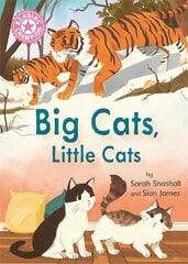 Reading Champion: Big Cats, Little Cats: Independent Reading Pink 1B Non-fiction kaina ir informacija | Knygos paaugliams ir jaunimui | pigu.lt