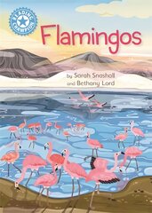 Reading Champion: Flamingos: Independent Reading Non-Fiction Blue 4 kaina ir informacija | Knygos paaugliams ir jaunimui | pigu.lt