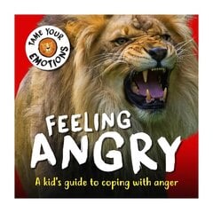 Tame Your Emotions: Feeling Angry kaina ir informacija | Knygos paaugliams ir jaunimui | pigu.lt