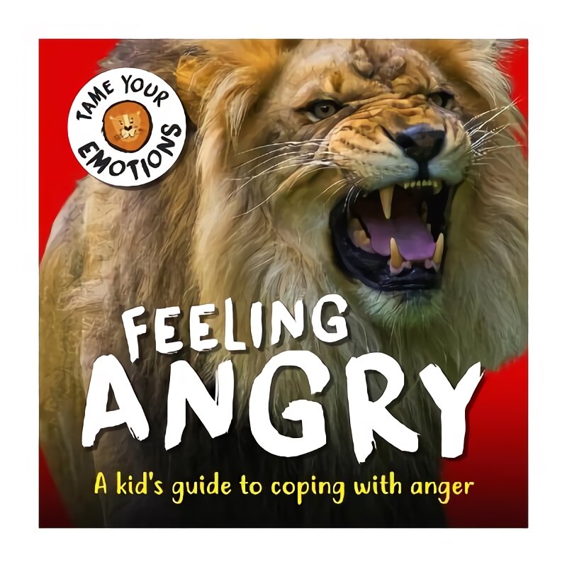 Tame Your Emotions: Feeling Angry цена и информация | Knygos paaugliams ir jaunimui | pigu.lt