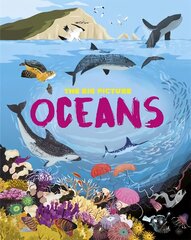Big Picture: Oceans цена и информация | Книги для подростков и молодежи | pigu.lt