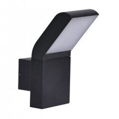 Outdoor wall lamp K-8146 from series VIDAR цена и информация | Уличные светильники | pigu.lt