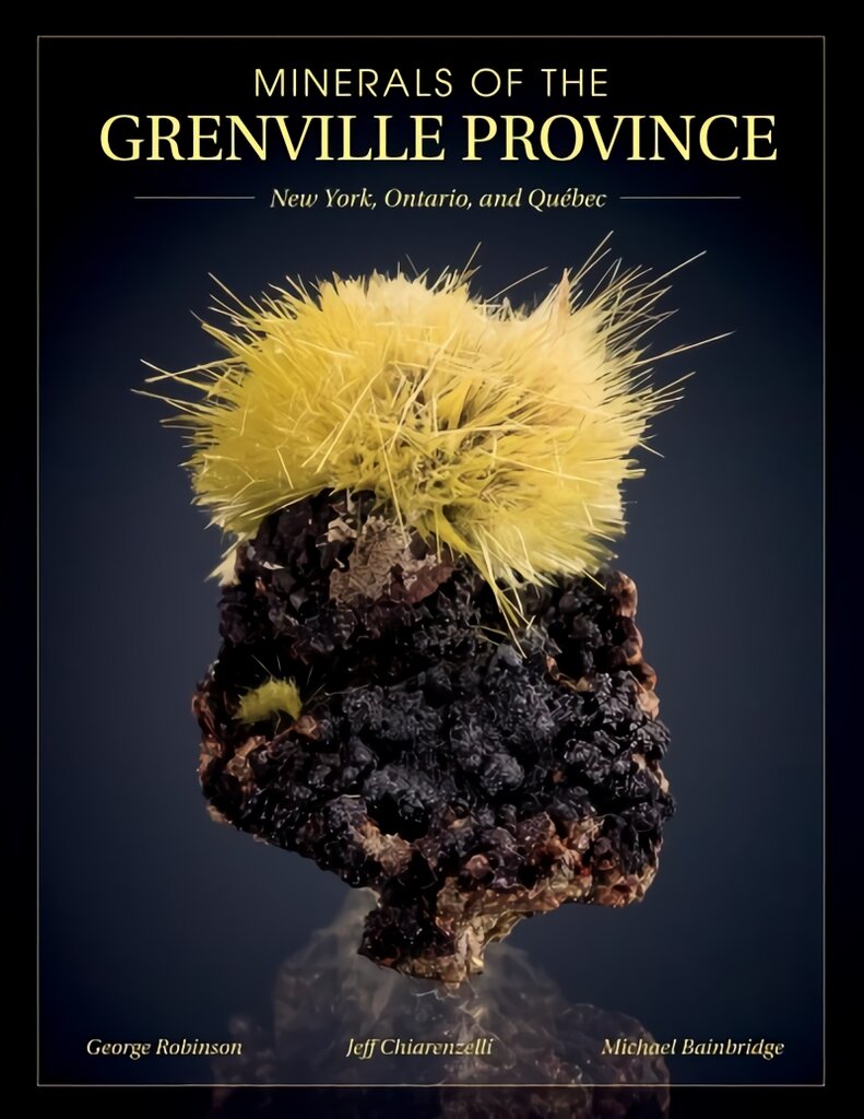 Minerals of the Grenville Province: New York, Ontario and Quebec: New York, Ontario, and QuA (c)bec цена и информация | Kelionių vadovai, aprašymai | pigu.lt