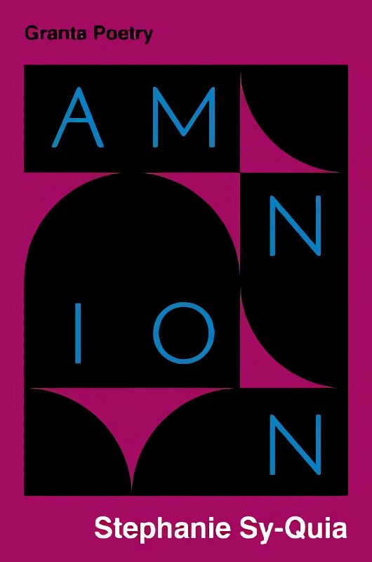 Amnion цена и информация | Poezija | pigu.lt