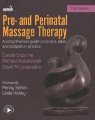 Pre- and Perinatal Massage Therapy: A comprehensive guide to prenatal, labor and post-partum practice 3rd edition цена и информация | Самоучители | pigu.lt