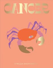 Cancer Hardback цена и информация | Самоучители | pigu.lt