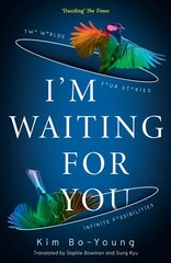 I'm Waiting For You цена и информация | Фантастика, фэнтези | pigu.lt