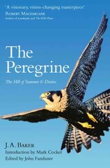 Peregrine: The Hill of Summer & Diaries: the Complete Works of J. A. Baker kaina ir informacija | Knygos apie sveiką gyvenseną ir mitybą | pigu.lt