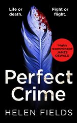 Perfect Crime kaina ir informacija | Fantastinės, mistinės knygos | pigu.lt