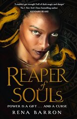 Reaper of Souls цена и информация | Книги для подростков и молодежи | pigu.lt
