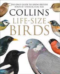 Collins Life-Size Birds: The Only Guide to Show British Birds at Their Actual Size цена и информация | Книги о питании и здоровом образе жизни | pigu.lt