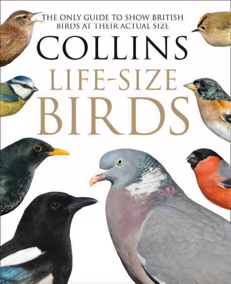 Collins Life-Size Birds: The Only Guide to Show British Birds at Their Actual Size цена и информация | Knygos apie sveiką gyvenseną ir mitybą | pigu.lt