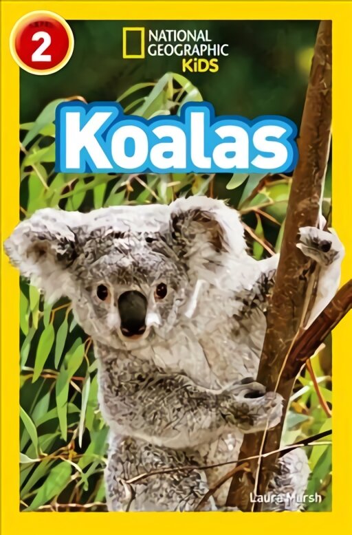 Koalas: Level 2 цена и информация | Knygos paaugliams ir jaunimui | pigu.lt