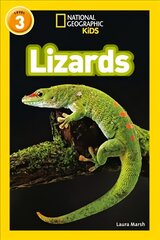 Lizards: Level 3 цена и информация | Книги для подростков и молодежи | pigu.lt