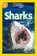 Sharks: Level 3 kaina ir informacija | Knygos paaugliams ir jaunimui | pigu.lt