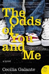 Odds of You and Me: A Novel цена и информация | Фантастика, фэнтези | pigu.lt