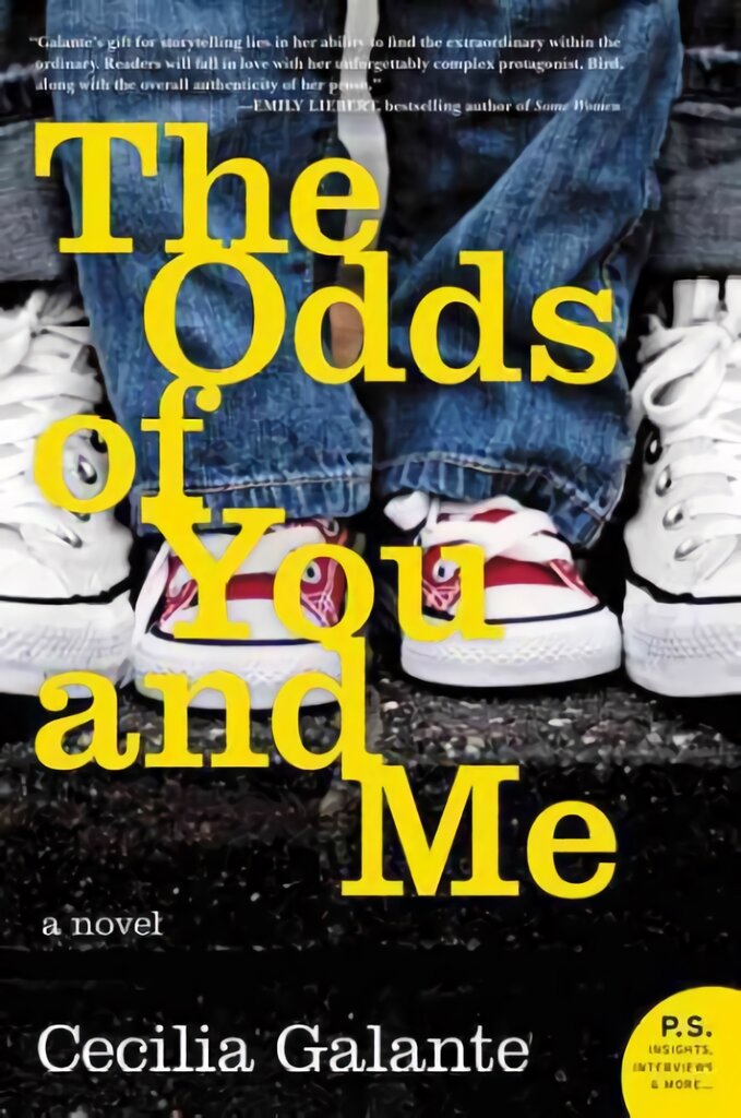 Odds of You and Me: A Novel цена и информация | Fantastinės, mistinės knygos | pigu.lt