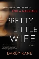 Pretty Little Wife: A Novel kaina ir informacija | Fantastinės, mistinės knygos | pigu.lt