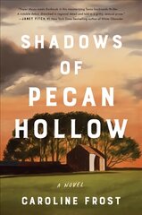 Shadows of Pecan Hollow: A Novel kaina ir informacija | Fantastinės, mistinės knygos | pigu.lt