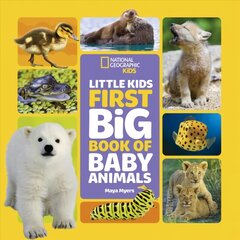 Little Kids First Big Book of Baby Animals цена и информация | Книги по экономике | pigu.lt