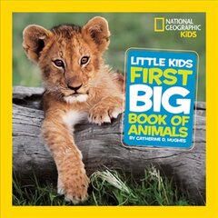 Little Kids First Big Book of Animals kaina ir informacija | Knygos paaugliams ir jaunimui | pigu.lt