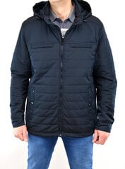 Куртка мужская Skorp 220 цена и информация | Мужские куртки | pigu.lt