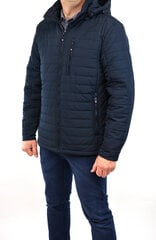 Куртка мужская Skorp 2212 цена и информация | Мужские куртки | pigu.lt