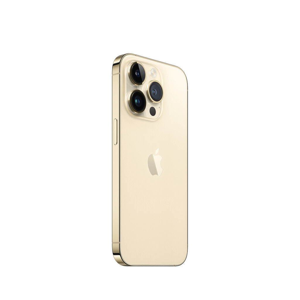 Apple iPhone 14 Pro Max 1TB Gold MQC43PX/A цена и информация | Mobilieji telefonai | pigu.lt