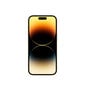 Apple iPhone 14 Pro Max 1TB Gold MQC43PX/A цена и информация | Mobilieji telefonai | pigu.lt
