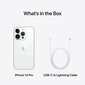 Apple iPhone 14 Pro Max 1TB Silver MQC33PX/A kaina ir informacija | Mobilieji telefonai | pigu.lt