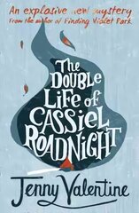 Double Life of Cassiel Roadnight edition цена и информация | Книги для подростков  | pigu.lt