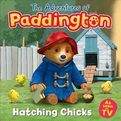 Adventures of Paddington: Hatching Chicks цена и информация | Книги для самых маленьких | pigu.lt