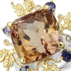 Серебряное (925) кольцо с драгоценными камнями, код f50282 F50282EU-59 цена и информация | Кольца | pigu.lt