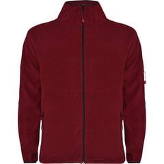 Флисовая куртка Luciane, красная цена и информация | Мужской джемпер | pigu.lt